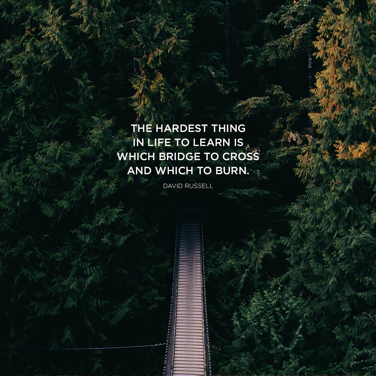 Quote over a forest bridge